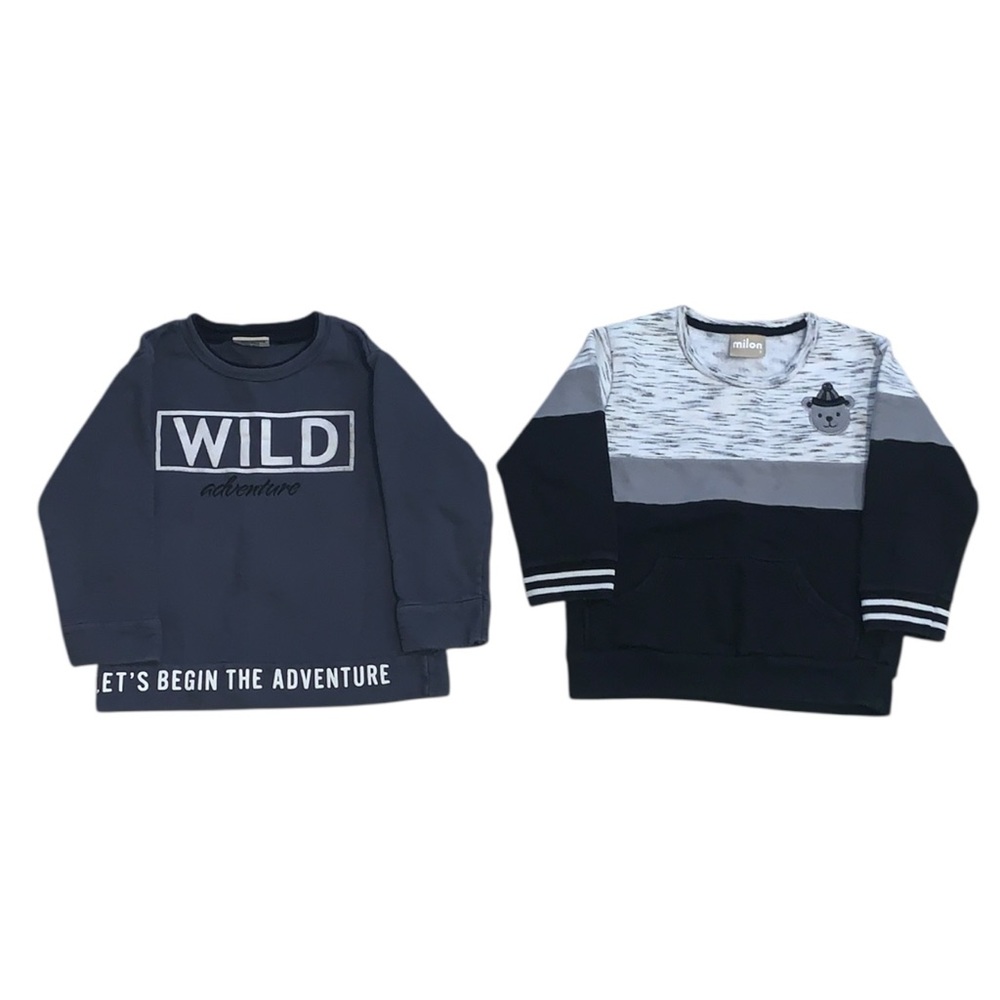 Milon Boys Size 3T Set Of 2 Pullover Sweatshirts Wild Adventure Teddy